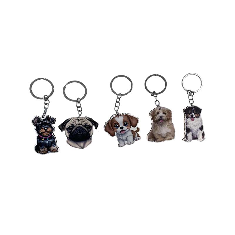 Cartoon Katze Oval DIY Druck Acryl Geschenk